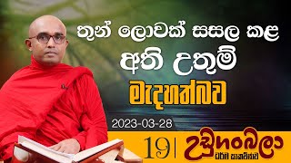 19) තුන් ලොවක් සසල කළ අති උතුම් මැදහත්බව | උඩුගංබලා ධර්ම සාකච්ඡාව | 2023-03-28