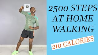 2500 Steps at Home/ 20 Minute Fast Walk at Home Workout 🔥 210 Calories 🔥