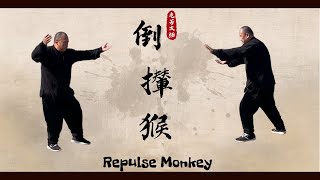 倒攆猴實戰用法，太極拳技擊練法講解，退中有進的武術技法
