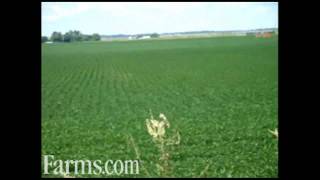 Farms.com Crop Watch USA - Soybeans and Ethanol