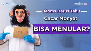 Jangan Menduga-duga Lho Moms, Benarkah Cacar Monyet Bisa Menular?