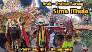 Kirab arak - arakan Barong Simo Mudo live Payaman , Giri - Banyuwangi