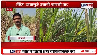 Pune Sugarcane | सेंद्रिय खताच्या जोरावर ऊसाचं भरघोस उत्पादन, शेतकऱ्याला लाखोचं उत्पन्न | Lokshahi