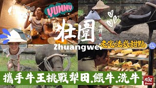 【宜蘭壯圍】EP07 part.3/4｜耕牛的獨特魅力，再被超美味甜點征服，每一刻都充滿驚喜 ! ｜Linking368Taiwan