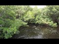 Swirling river at J.N. Ding Darling National Wildlife Refuge on Sanibel Island, Florida Sony