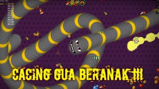 JEBAK CACING MALAH BERANAK..!!! |WormsZone indonesia