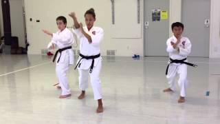 Team Bassai Dai (12-17 boys and girls) | Shotokan Karate 2013