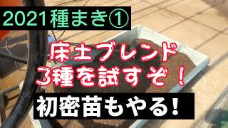 【2021田んぼ】種まき①　27年目のプール育苗は初密苗チャレンジ