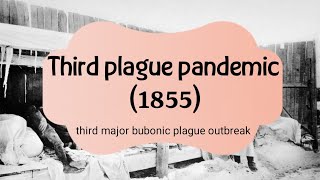 Outbreaks in History - Third Plague Pandemic