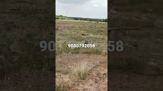 Paramakudi Dtcp Approval plots sale in Maninagar Near...சோமநாதபுரம் புதிய ஹைவே அருகே 9080792058.