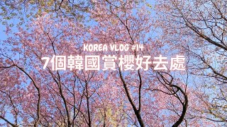 [韓國旅遊] 有個很少遊客知道的賞櫻地點/ 汝矣島現代百貨/ 星期五晚上的汝矣島漢江公園