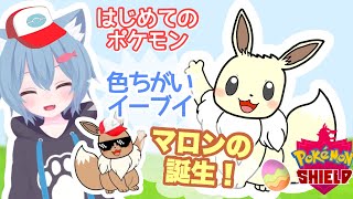 【Pokemon/ポケモン/剣盾】ポケモン初心者★色違いイーブイ「マロン」の登場！#Shorts【新人Vtuber/甘衣ふれじぇ】