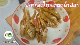 ปลาเห็ดโคนทอดน้ำปลา | เจชาวไร่TV