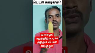 வாழைப் பழத்திற்கு ஏன் அந்த பெயர் வந்தது? Why Banana is called as banana?