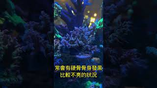 超好用FM PO4 0.04吸附劑！不用怕吸得太乾淨了！有連結可以購買喔！