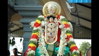 Abhishek (Thirumanjanam) of Swamy Desika \u0026 Lord Srihayagreeva Thiruneermalai Part 2