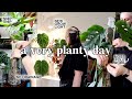 a day in my planty life 🪴 Plant Chores Vlog