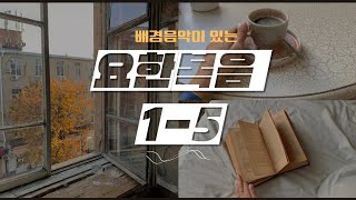 [개역개정] 요한복음1~5장 (with BGM)