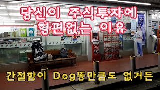 나는 주식투자로 돈벌어 해외산다! 당신은 왜 주식투자로 돈을 잃는가! 주식투자는 상식적으로 쉬운 사업인데! 당신이 돈을 처 잃는 그 근본적인 이유를 아는가 !