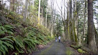 Sehome Arboretum offers views, 6 miles of trails