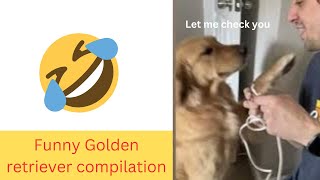 You Laugh you Lose! |The Funniest Golden Retrievers, You'll LAUGH more than you should!