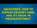 Salesforce: How to display FieldSet label and its value in PageBlockTable? (2 Solutions!!)