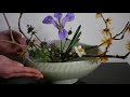 【生け花】2月のお花総集編【ikebana】水仙 蠟梅 椿 節分 バレンタイン february work summary 二月工作總結 résumé des travaux de février 꽃