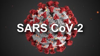 Covid-19 (SARS CoV 2) for Sonographers