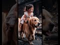 dogs rescue their owners from fire they are humanity’s most loyal friends cute cat funny