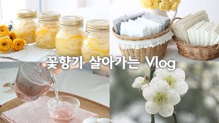 7 reasons why kitchen is clean | Pickled lotus root Korea Yuja(Yuzu) | Homemade Passion Fruit Tea