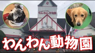 【愛知県岡崎市】沢山の犬と触れ合えるぅぅ！IPCわんわん動物園に行ってきた♪