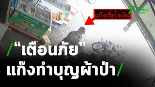 เตือนภัย!แก๊งเรี่ยไรเงินทำบุญผ้าป่า | 01-04-64 | ข่าวเที่ยงไทยรัฐ