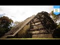 Ancient Mayan city found in jungle: Archaeologists use LiDAR tech to scan massive city - TomoNews