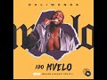 Daliwonga 