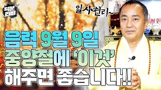 1년에 단 한번뿐인 '중양절'을 잘 챙겨주면 조상에게 덕과 복을 받는다?! 일사천리 가능한 중양절에 잊지말고 '이것' 꼭 해주세요!!