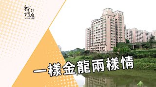 【濕地開發】一樣金龍兩樣情｜生態教室vs.湖畔高樓 (我們的島 第251集 2004-04-26)