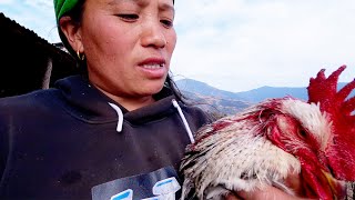 wild  fox attacked our hens || Village life of Nepal || Bhumi village vlog @bhumicooking