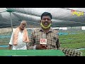 green chilli plants nursery నర్సరీల్లో మిర్చీనారు... 40 రోజుల్లో ఎకరాకు 3 లక్షల లాభం tone agri