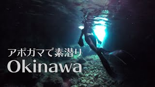 沖縄本島の人気ダイビングポイントアポガマ。珊瑚の海でウミガメとシュノーケリング