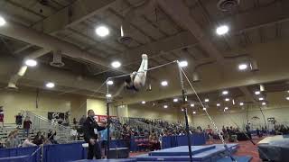 Tyler Rockwood - High Bar - 2019 Winter Cup Junior Prelims