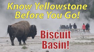 Biscuit Basin! Know Yellowstone Before You Go!