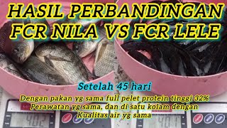 HASIL FCR IKAN NILA DAN FCR IKAN LELE | PAKAN FULL PELET PROTEIN TINGGI | 45 HARI DARI AWAL TEBAR