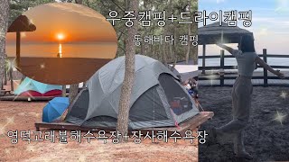 영덕고래불국민야영장+장사해수욕장 (우중캠핑+드라이캠핑) 동해바다 해돋이🌅