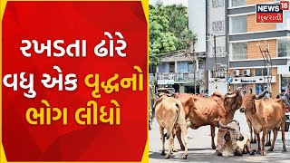 Porbandar News Update : રખડતા ઢોરે વધુ એક વૃદ્ધનો ભોગ લીધો | Stray Cattle | Killed | Gujarati News