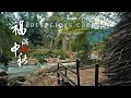 hot springs bamboo campsite sneak peek.....竹林温泉露营地 预告 。。。整片即将登场 别走开哦 #camping #hotspringcampsite