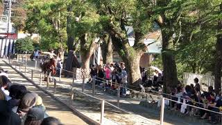 2018年鎌倉鶴岡八幡宮崇敬会流鏑馬お2