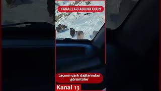 Laçının qarlı dağlarından möhtəşəm görüntü