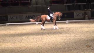 HorseJunkiesUnited.com - Dressage Demo with Ashley Holzer Royal 2013