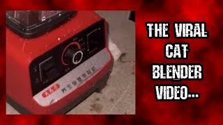 About The Cat Blender Video | A New Viral Gore Video