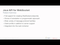 Java API for WebSocket 1.0
